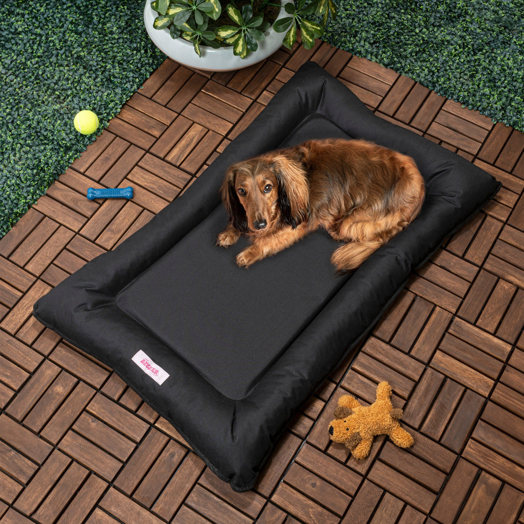 Lit pour animaux de compagnie Archie Traditional Oxford imperméable en mousse à mémoire de forme lavable à la main pour l'intérieur et l'extérieur