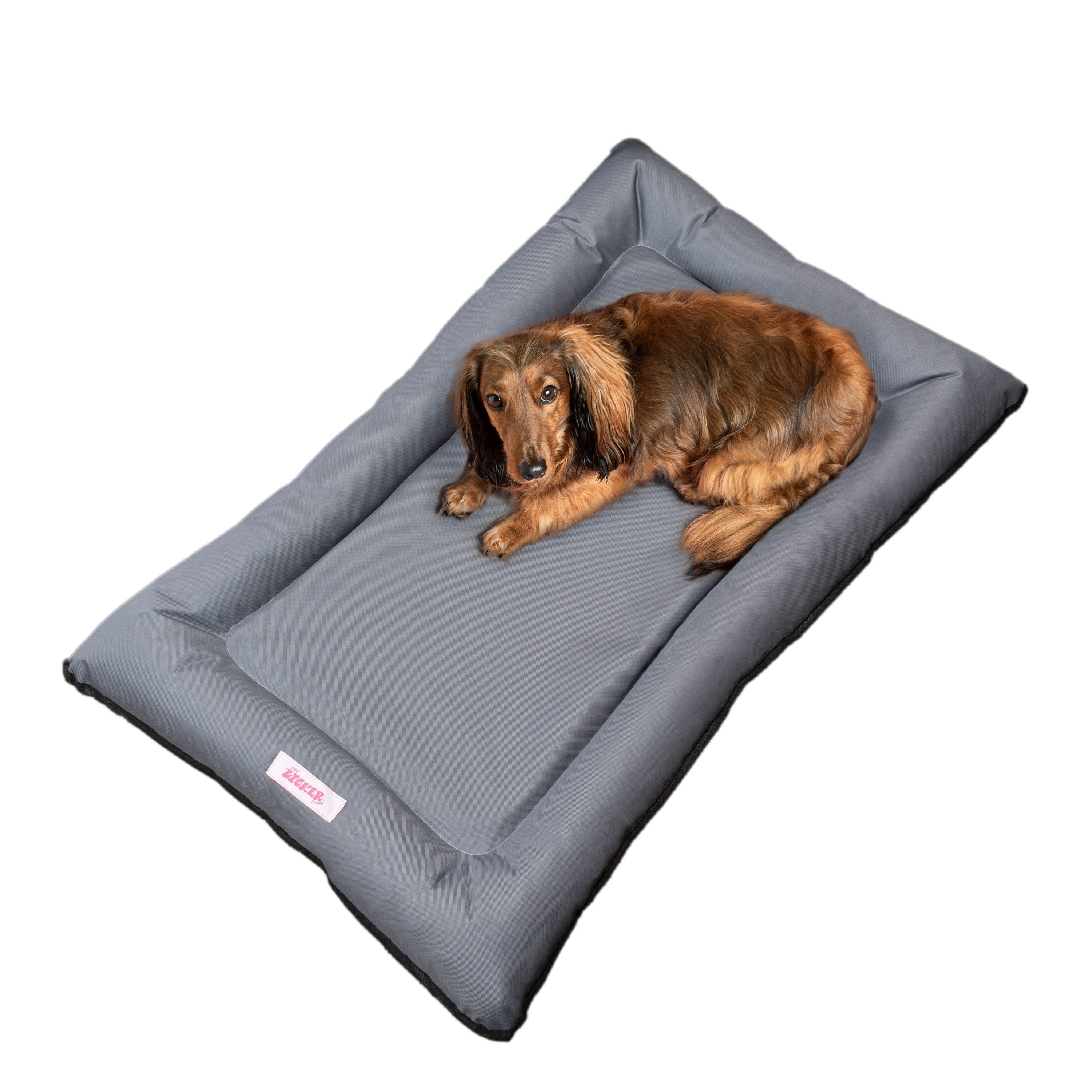Lit pour animaux de compagnie Archie Traditional Oxford imperméable en mousse à mémoire de forme lavable à la main pour l'intérieur et l'extérieur