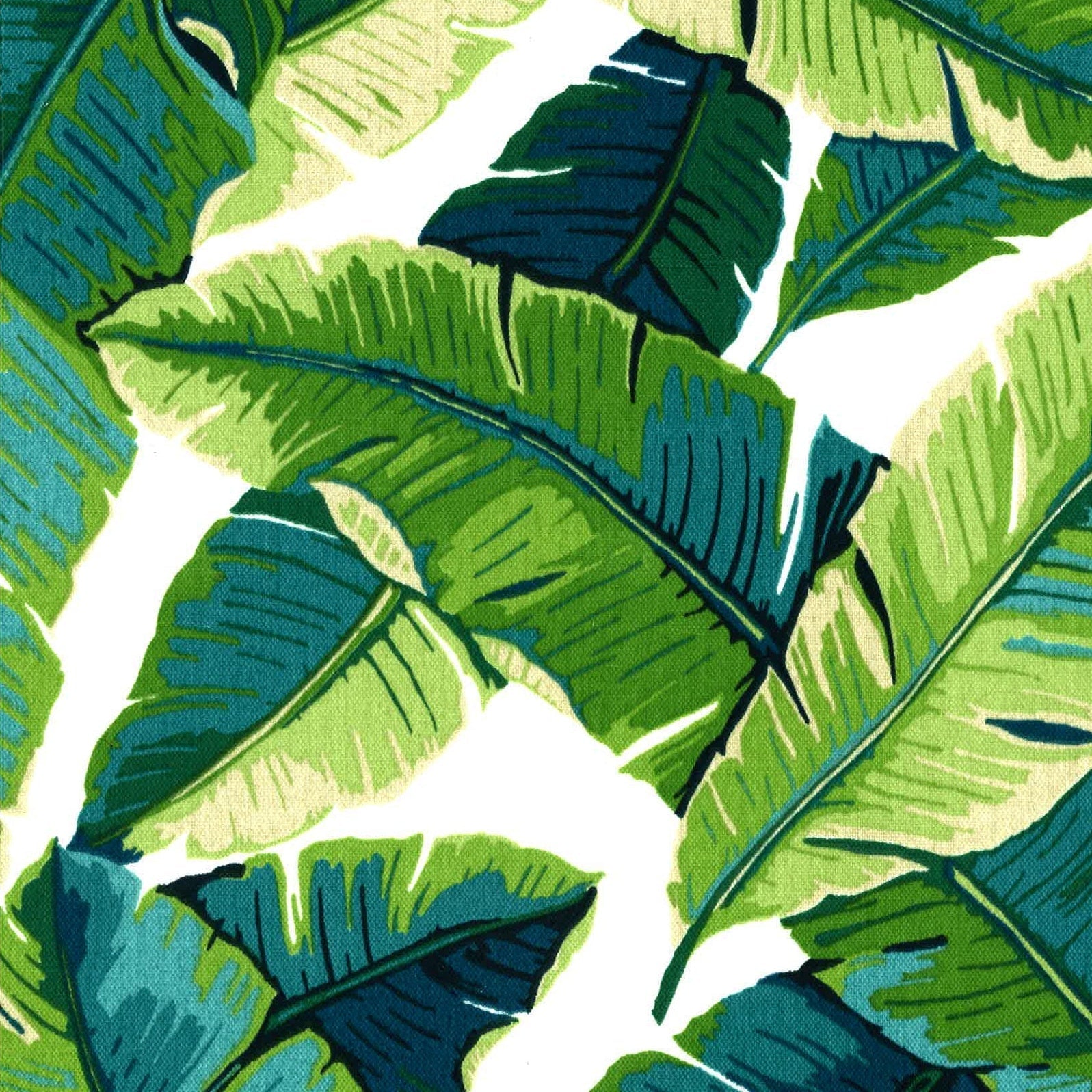 19-inch Rounded Back Indoor/Outdoor Chair Cushions (Set of 4) - 19 x 19