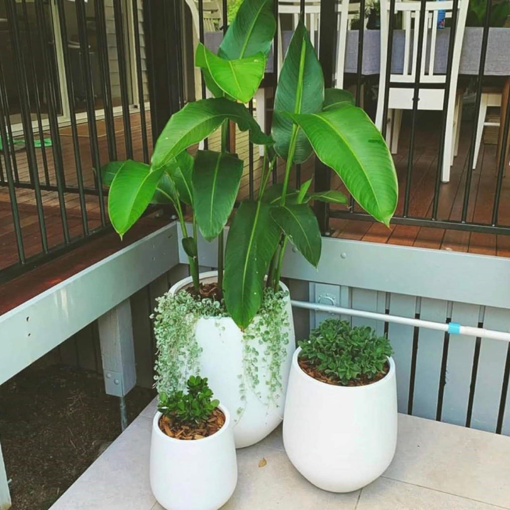 DreamPatio La Mirada 1-piece Fiberstone Tapered Planter for Indoor/Outdoor