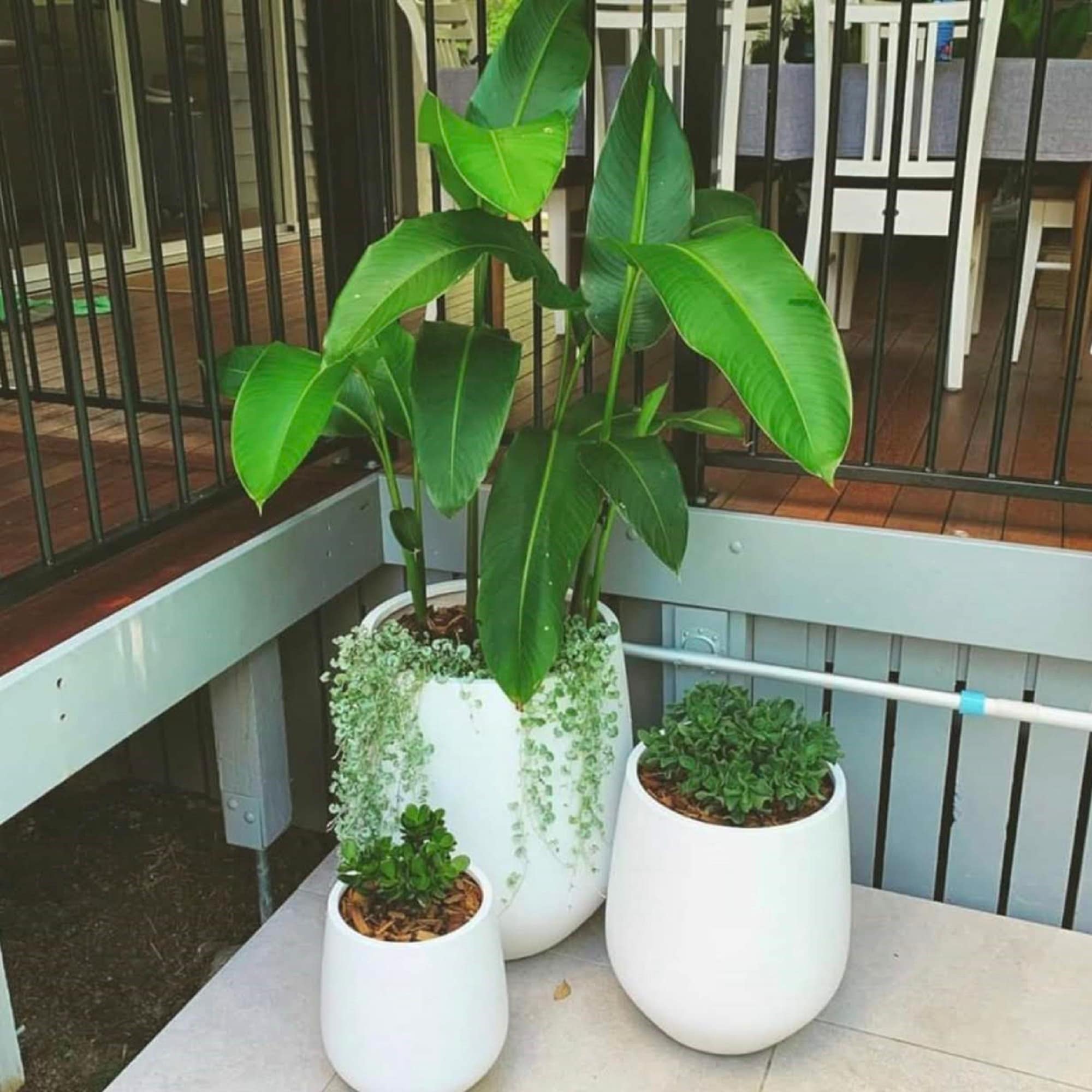 DreamPatio La Mirada 1-piece Fiberstone Tapered Planter for Indoor/Outdoor