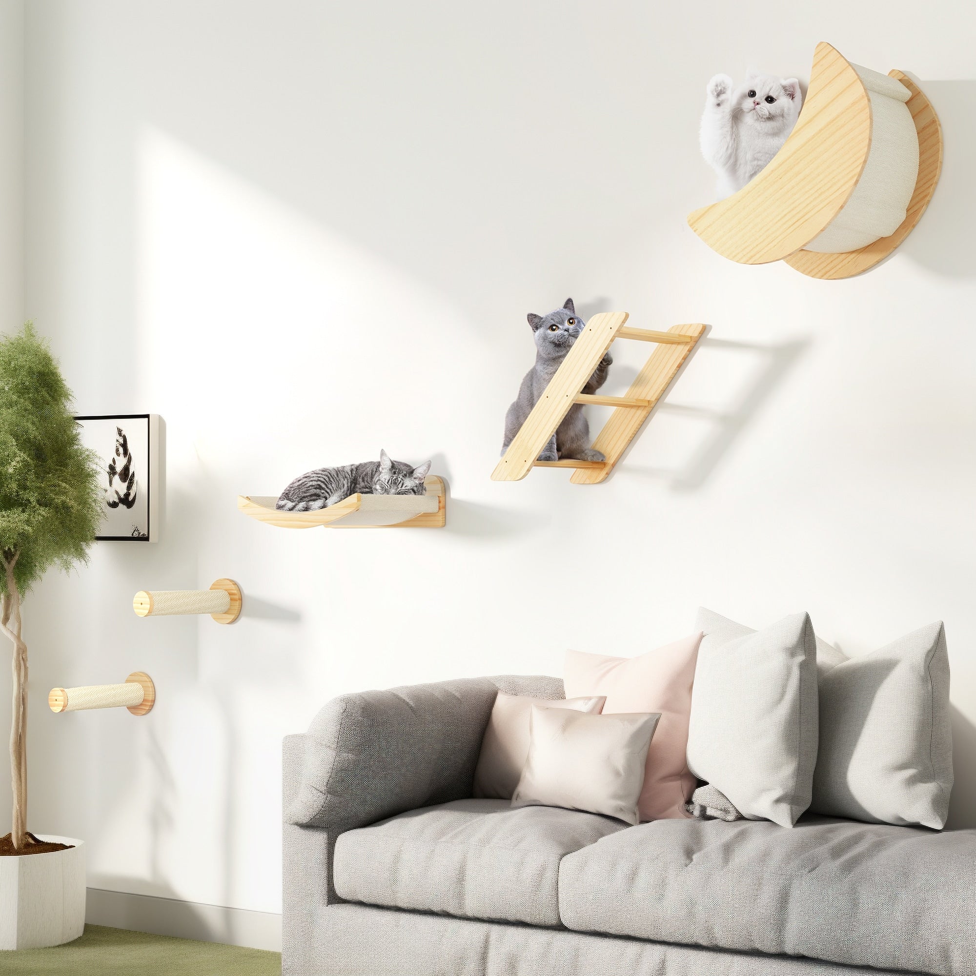 Ensemble d'étagères murales pour chat Moasis, ensemble d'escalade en bois pour chat