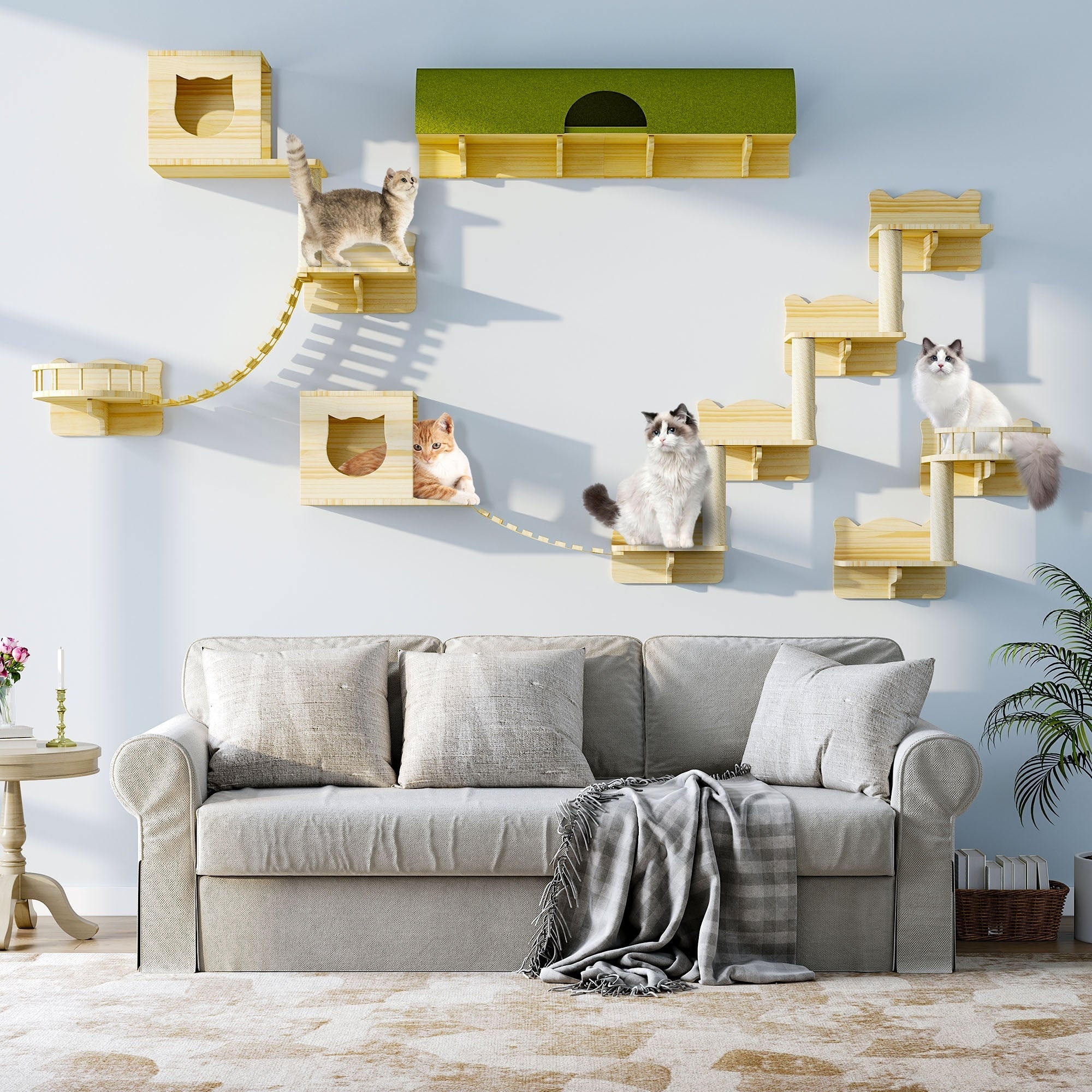Ensemble d'étagères murales pour chat Moasis, ensemble d'escalade en bois pour chat