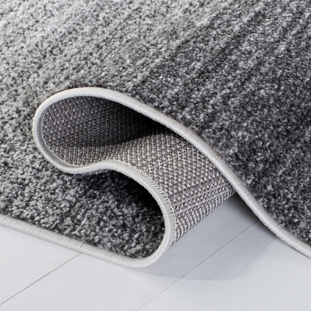 SAFAVIEH Tapis Adirondack Muzeyyen Ombre vieilli