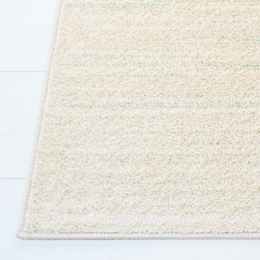 SAFAVIEH Tapis Adirondack Muzeyyen Ombre vieilli