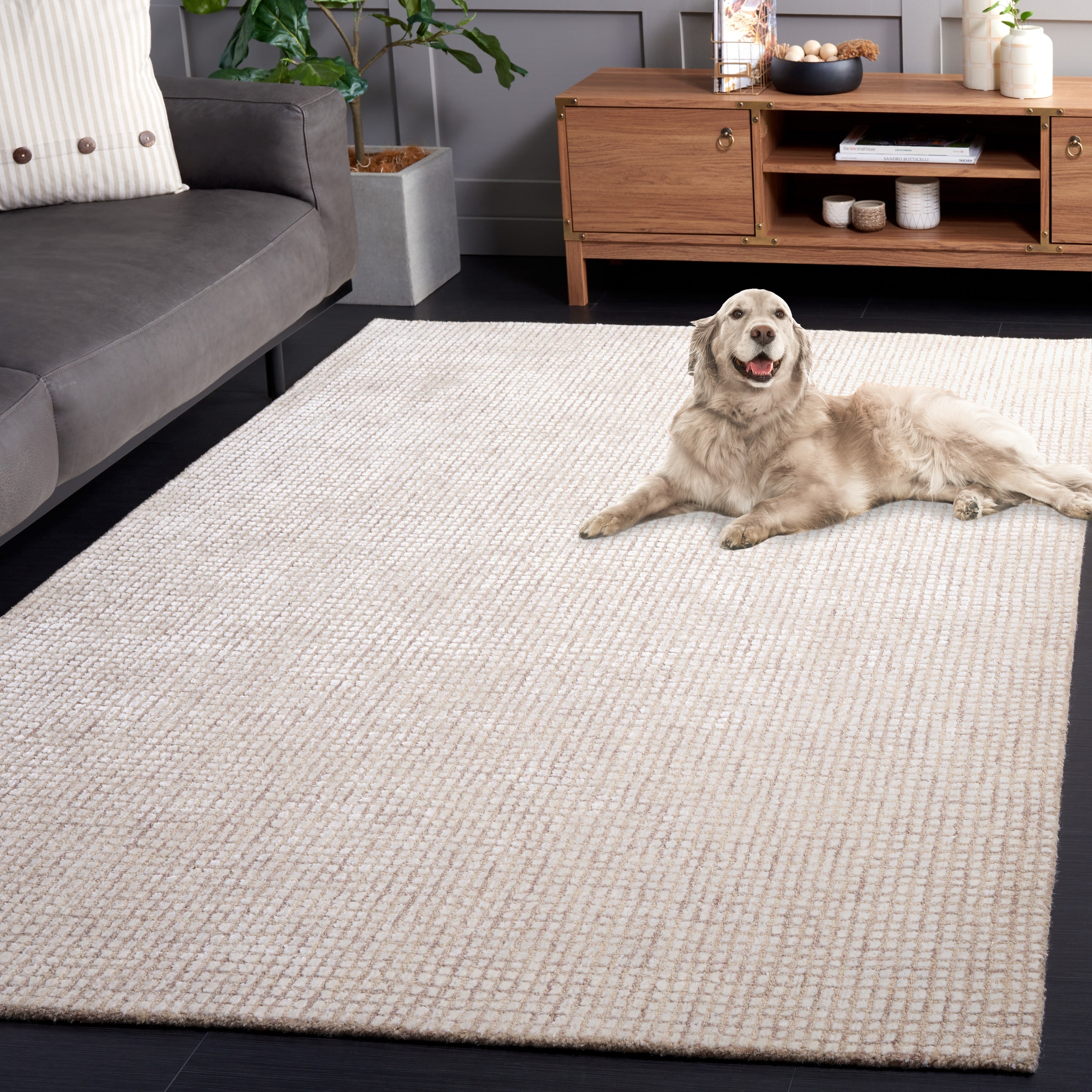 SAFAVIEH Handmade Abstract Marikka Modern Viscose Rug