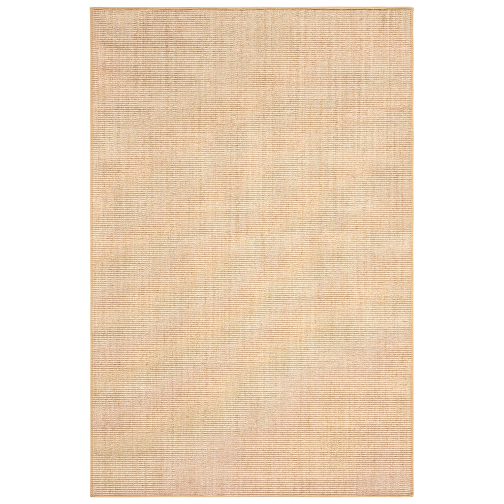 SAFAVIEH Handmade Natural Fiber Zaniyah Jute Rug