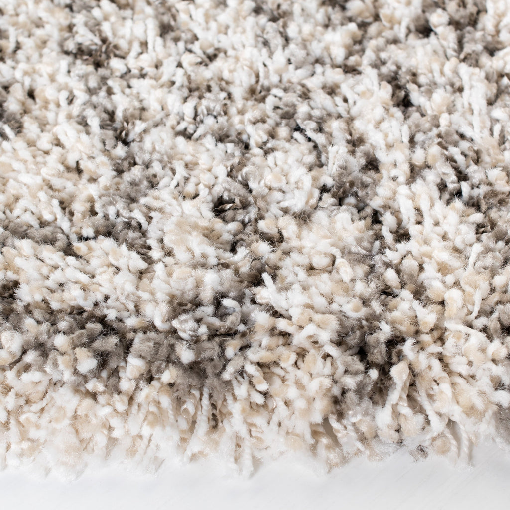 SAFAVIEH Hudson Shag Miljana 2-inch Thick Rug