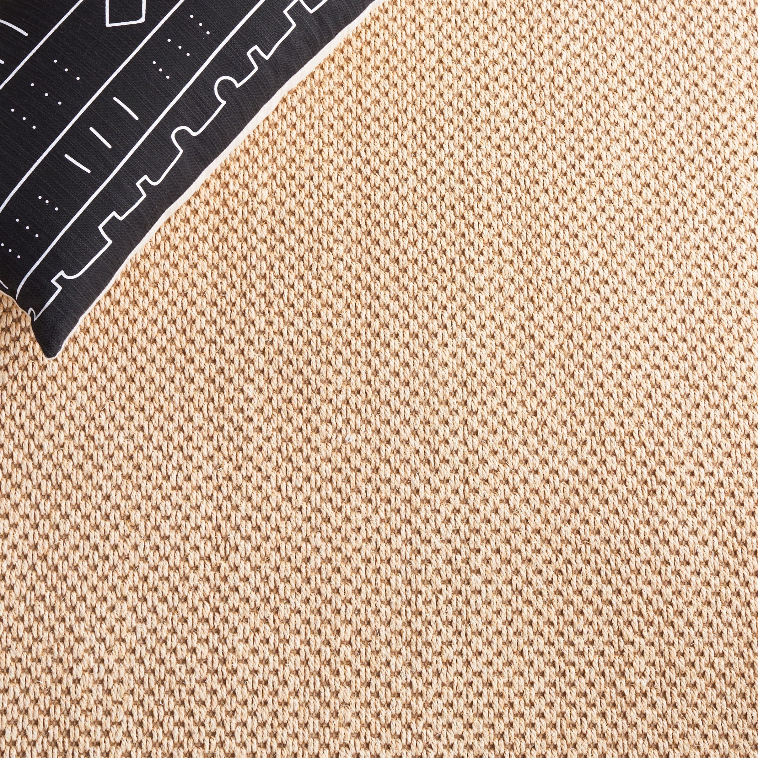 SAFAVIEH Natural Fiber Venus Casual Border Sisal Rug