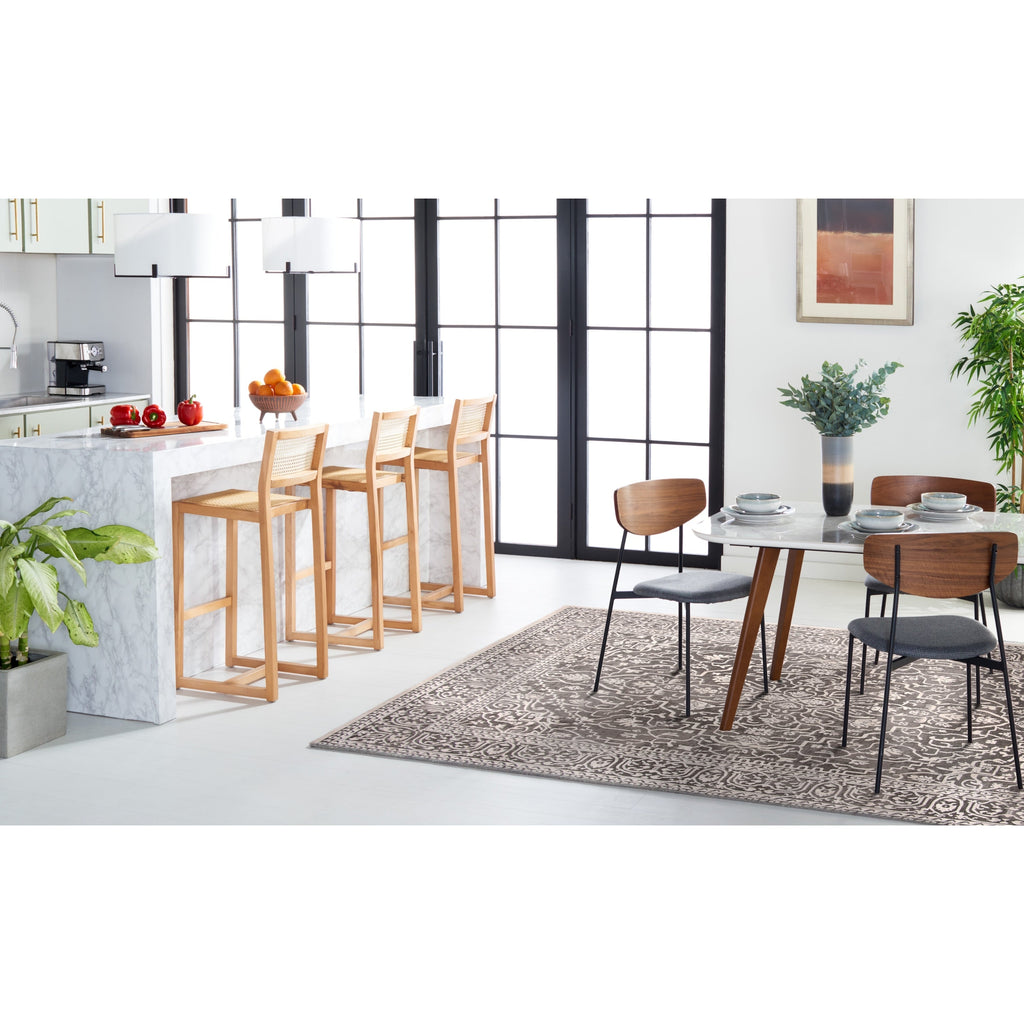 SAFAVIEH Reflection Elzada Oriental Rug