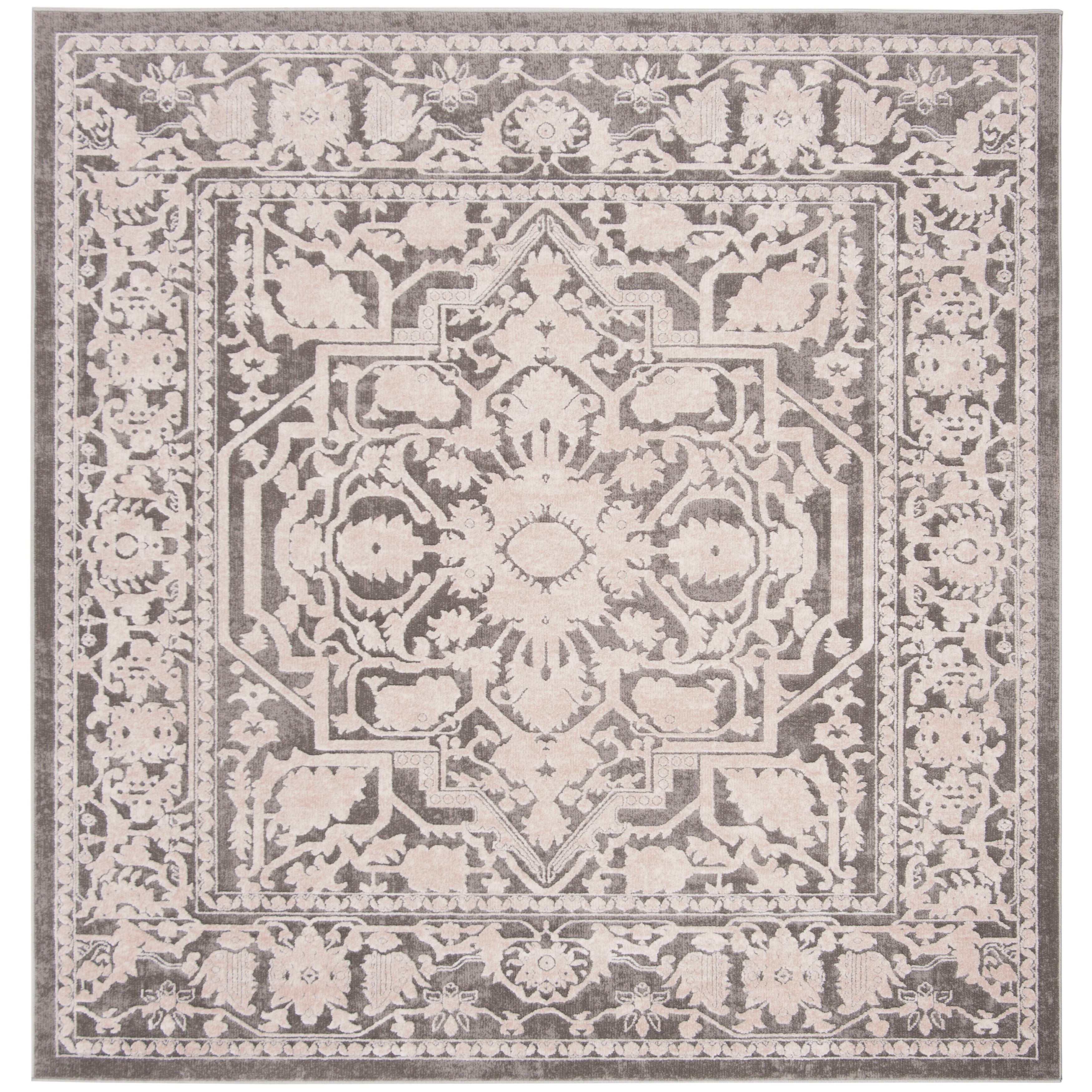 SAFAVIEH Reflection Eulalie Modern Oriental Rug