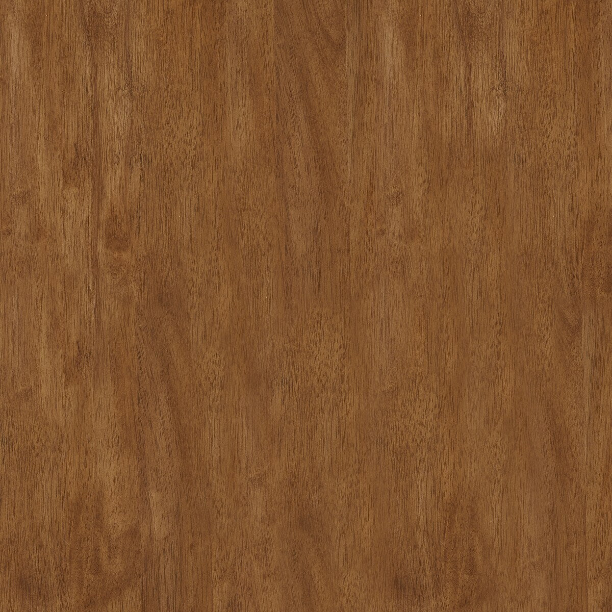 Salvador II Counter Backless Stools (Set of 2) by iNSPIRE Q Classic