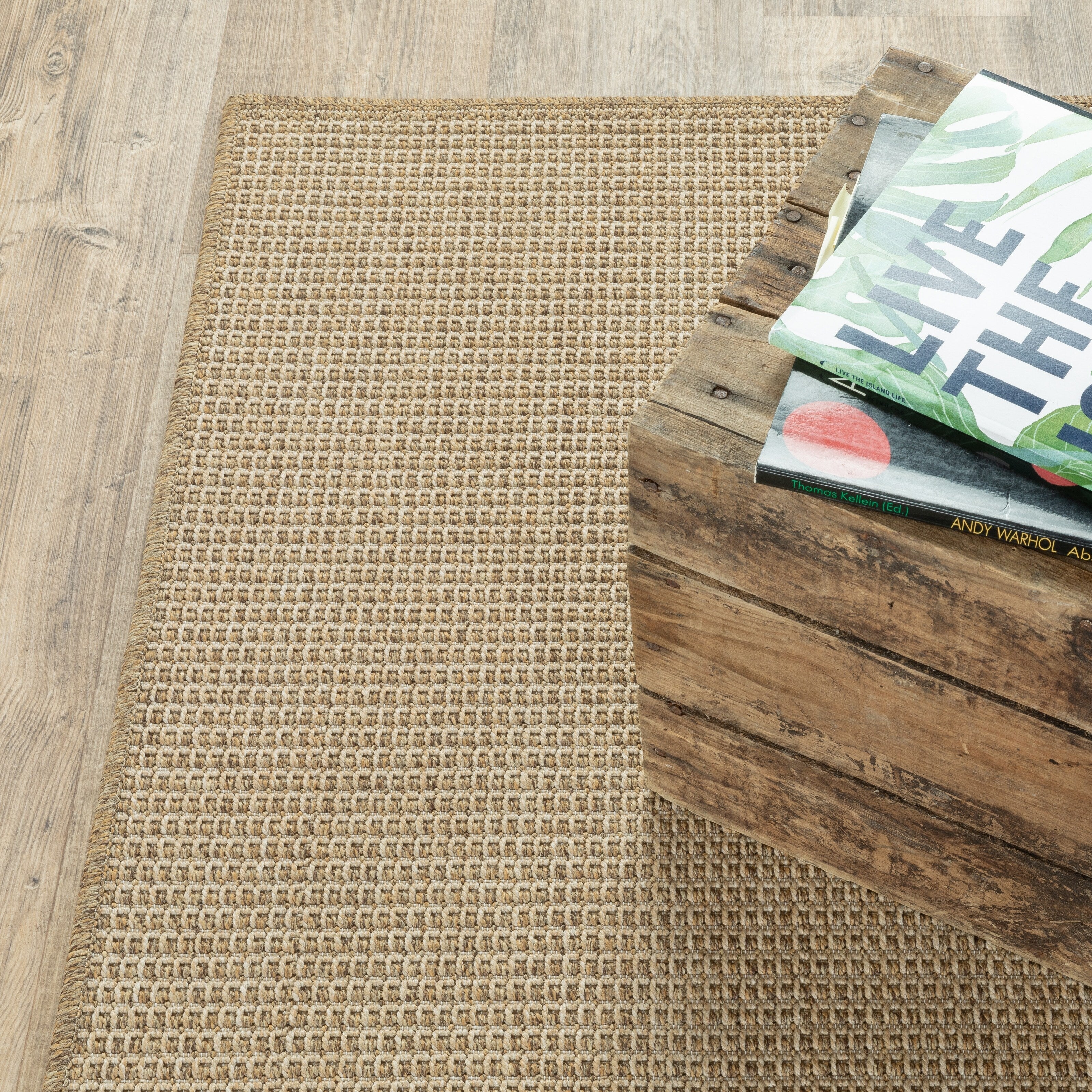 Style Haven Veranda Light Brown Solid Textured Indoor-Outdoor Area Rug