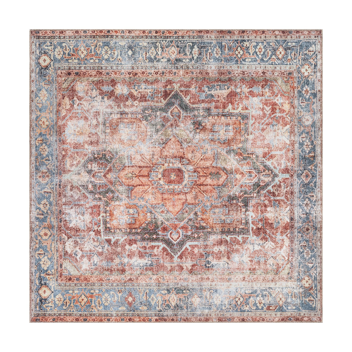 Traditional Distressed Machine Washable Area Rug